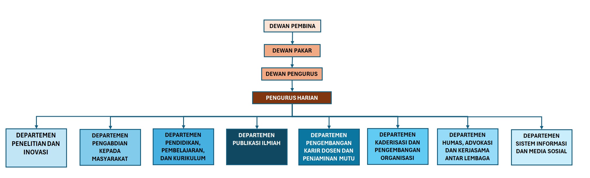 STRUKTUR ORGANISASI DDI STRUKTUR ORGANISASI DDI